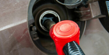 фото globallookpress.com