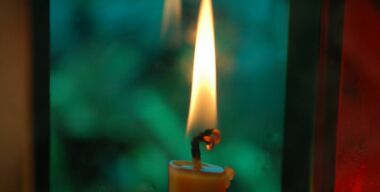 фото globallookpress.com