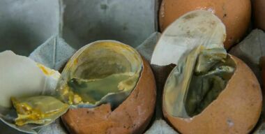 Фото boards.4channel.org