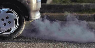 Фото globallookpress.com