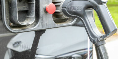 фото globallookpress.com