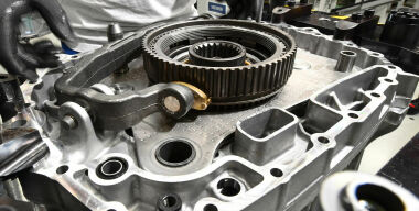 фото globallookpress.com