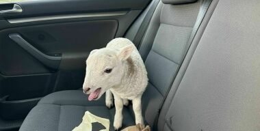 фото globallookpress.com