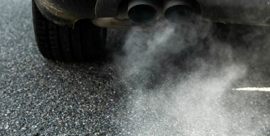 фото globallookpress.com