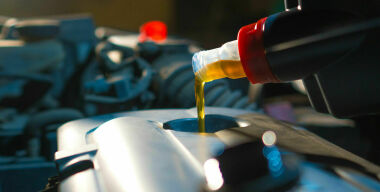 Фото: gardsman.se