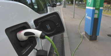 Фото: globallookpress.com