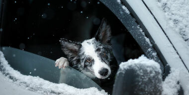 Фото: www.nomnomnow.com