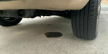 фото johnnyholland.org