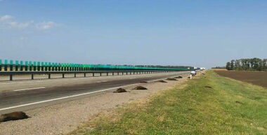 Фото: Телеграм-канал «Минприроды края»