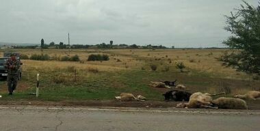 Фото: УГИБДД по Ростовской области