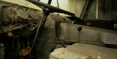 Фото globallookpress.com