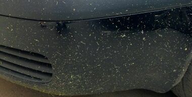 Почему летний покос травы приведет к проблемам с машиной