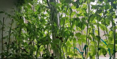 Фото: АвтоВзгляд.