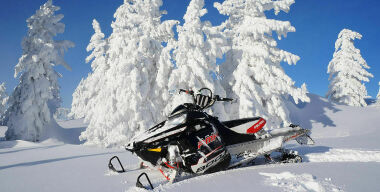 фото: соцсети