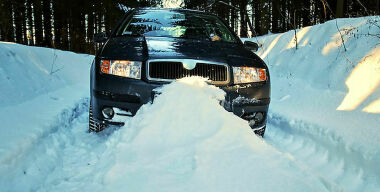 фото: соцсети