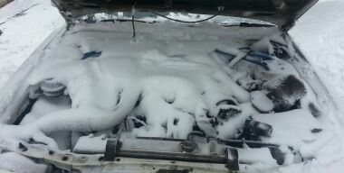 фото: соцсети