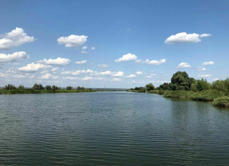 Изображение Почему на рыбалку лучше ехать не в Астрахань, а в Ростов-на-Дону