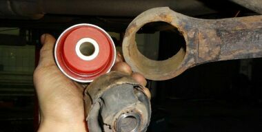 Фото из открытых источников