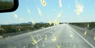 Фото cardinator.ru