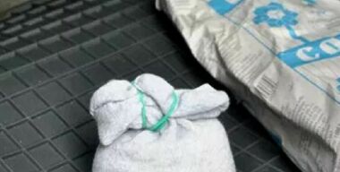 Фото hotel-best.ru