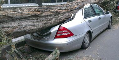 Фото get.pxhere.com