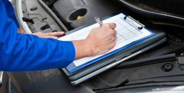 Фото somanyhorses.ru