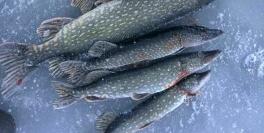 Фото: АвтоВзгляд