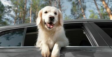 фото freepik.com