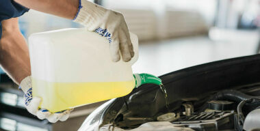 Фото: freepik.com