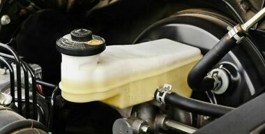 фото freepik.com