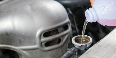 Фото: freepik.com