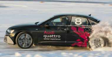 Фото: Алексей Барашков