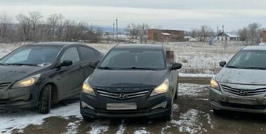 Фото «Цезарь Сателлит»