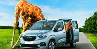 Фото https://www.nastol.com.ua