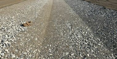 Фото https://terraffix.co.uk