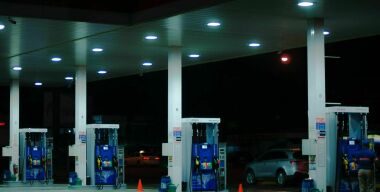 Фото: onegreenplanet.org