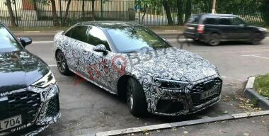 Фото: Никита Ситников