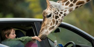 Фото media.dayoutwiththekids.co.u