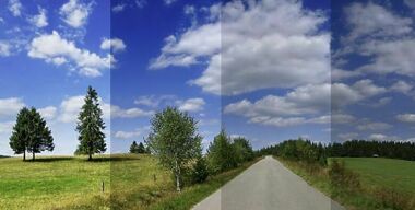 В Госдуме хотят вычеркнуть из КоАП самую одиозную статью