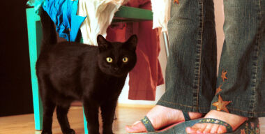 Фото globallookpress.com