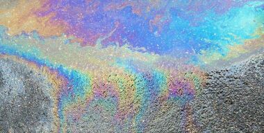 Фото www.scienceabc.com