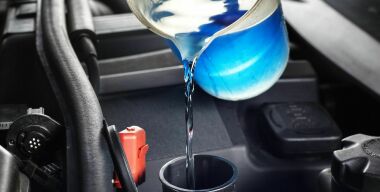 Фото: www.thoughtco.com