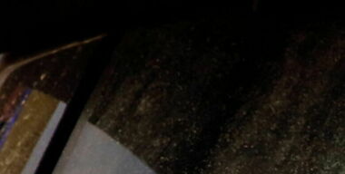 фото globallookpress.com