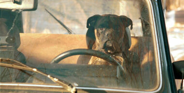 Фото: Наталия Губернаторова