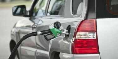 Фото www.thestate.com