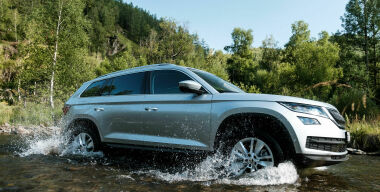 Первый тест-драйв Skoda Kodiaq российской сборки: медвежий угол