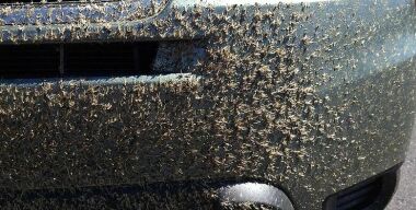 Фото avtovzglyad.ru