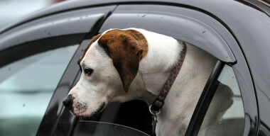 Фото www.vox.com