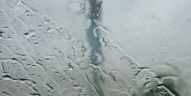 фото globallookpress.com