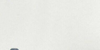 фото globallookpress.com